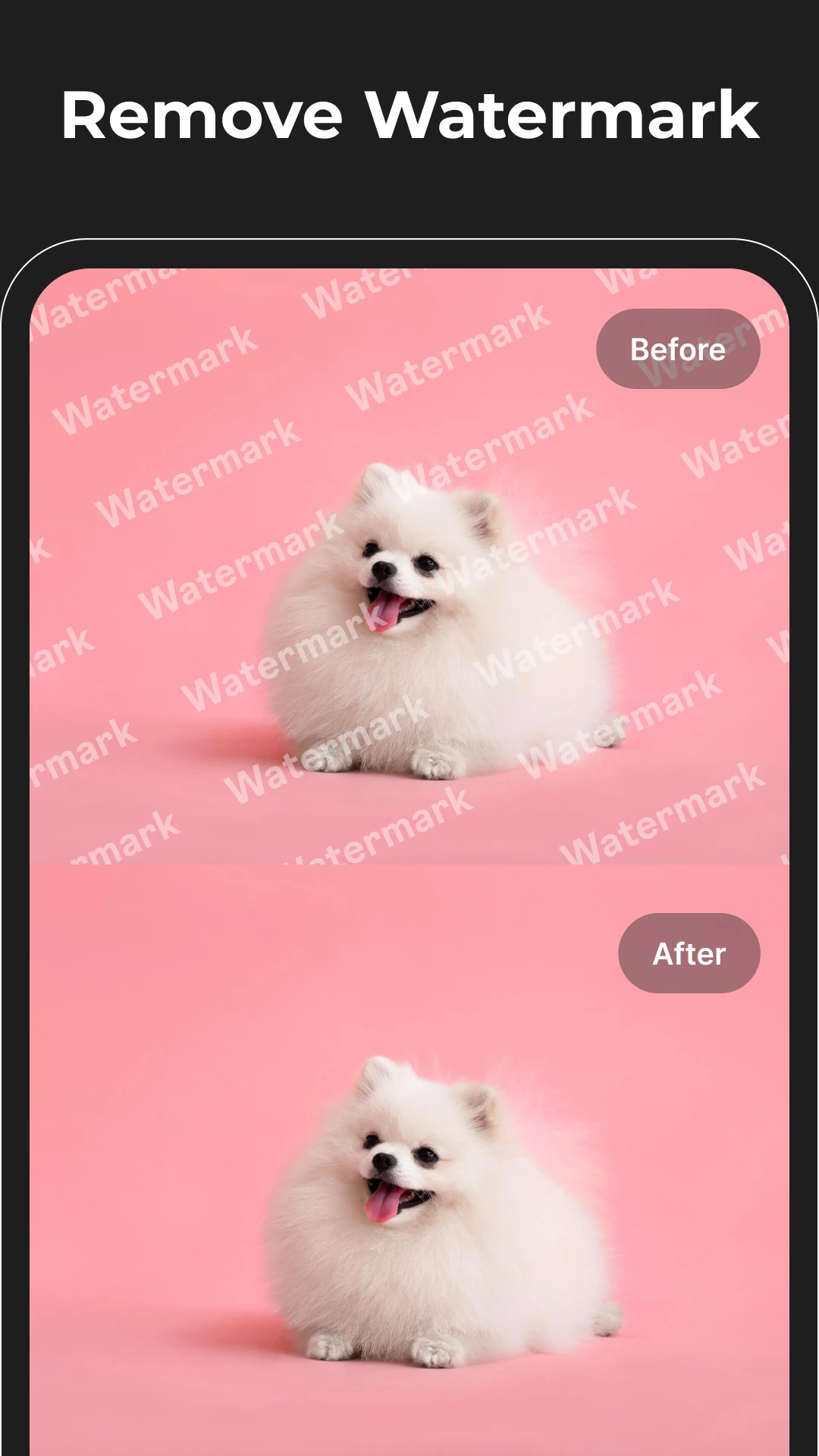 Magic Eraser (Premium Unlocked) screenshot 3