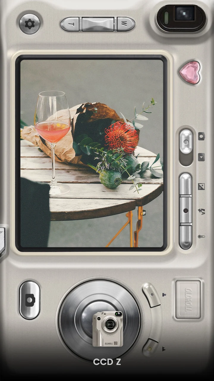 OldRoll (Pro Unlocked) screenshot 4