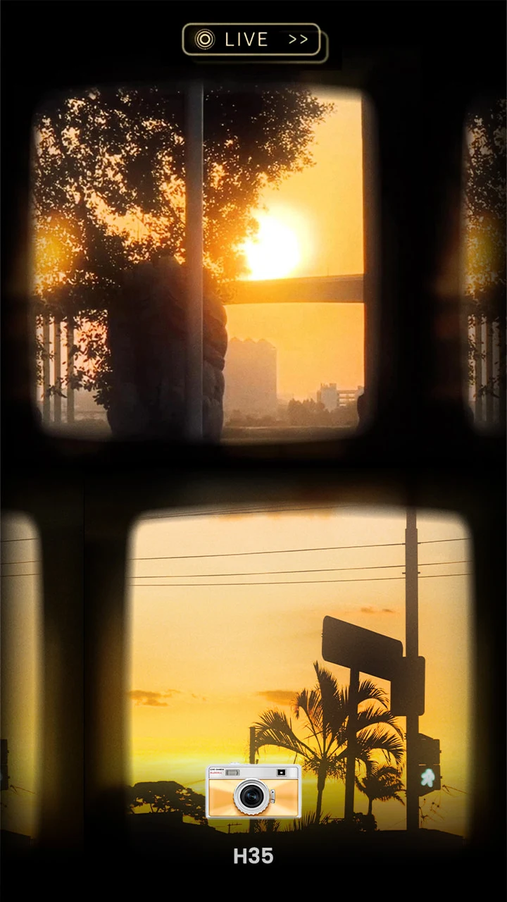 OldRoll (Pro Unlocked) screenshot 5